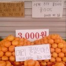 마틴전자담배