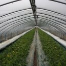 박해동농장 이미지