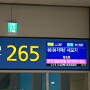 중앙카시트 | 미야코지마 렌트카 후기 가격 추천 카시트 시모지시마 공항 렌터카