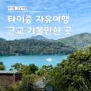 무지개빛농장 | 타이중 혼자여행 코스 근교 가볼만한 곳 4곳