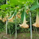 학동초등학교 이미지