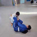 백운(태권도) | 광주 백운동 주짓수, 취미 태권도까지 한 번에 체험해봤어요