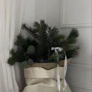 연희재 | W.다이렉트 결혼준비 스튜디오 - 보다 연희재 상담 후기