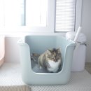 빗물 화장실 이미지