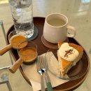 대화동 대화역 남,북단 | 일산애견동반카페 ‘카페남표’ 대화동 디저트맛집 추천