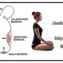 반다요가 이미지