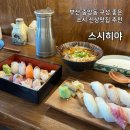 스시히야 | 부산 중앙동 초밥 신상맛집 스시히야 내돈내산 후기