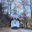 포레스트수목원(카페 입구, 뒷편) | 가평 아침 고요 수목원 입장권 할인 feat 가평 별빛 축제