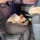 간호학과4-2학기 :: 마지막 중간고사 준비