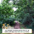 재오개산촌마을 이미지