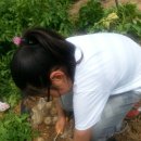 은실농장 이미지