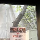 94 | 내돈내산 대학로 중국요리 중식맛집 서래향