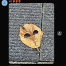 큰골작은도서관 | 파티 다녀왔어요