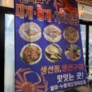 닭머꼬 알머꼬 본점 | 내돈내산 속초 대포항 맛집 게머꼬찜머꼬ㅣ가오리찜 누룽지 오징어순대 후기