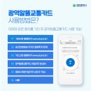 지하철역사 (서대전네거리역) | [대전교통공사 대학생 서포터즈] D-FRIENDS 4기 9월 개인미션 - 지하철 이용 후기 및 운영 효율화 방안