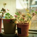 센트럴울산치과의원 이미지