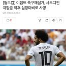 이집트 축구해설가, 사우디전 극장골 직후 심장마비로 사망 이미지