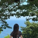 여여가 다랭이 이미지