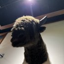 로드하우스식당 | 송도 현대프리미엄아울렛 맛집｜스테이크 맛집 텍사스로드하우스 송도점 솔직후기