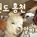MH여행사 이미지