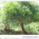 인영상사 이미지