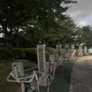 석남완충도시숲 이미지