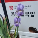 붓꽃.뼈국밥.성산.사과.이천변산책로.휴일 성밖숲잔디밭.관운사꽃들.미구야시 철죽. 2021-05-02(일) 흐림 기온 8~20도 이미지