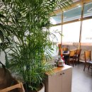 모박사부대찌개평택점 이미지