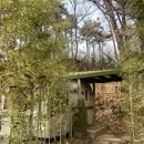 신김포농협 하성지점 주유소 | [김포]숲속 아지트 여울지 숲속캠핑장 '오스틴 카라반' 힐링 여행! (불멍 타임에 고양이 난입?)