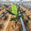 푸르담농장 이미지