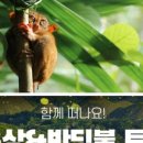 반딧불안경 이미지