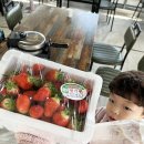 동준농장2 이미지