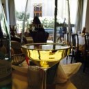 파토리아 이미지