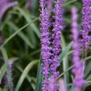 천지인(天.地.人) 이미지