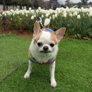 하늘N펜션 이미지