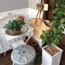 카페이레 이미지