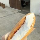 아꼬아체험농장카페