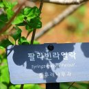 리빈 Daum카페