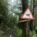 베러유
