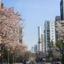 강남킴스의원 | 가족모임 맛집 추천, 피자 맛집 「피자몰」 뷔페, 샐러드 바 가격 서울 강남, 반포 뉴코아 맛집, 솔직 후기