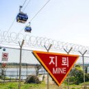 파주 임진각 핫플 파주 DMZ 곤돌라 디엠지 케이블카 파주 당일치기 이미지