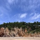 충남민박 | [태안] 아이랑 가기 좋은 파도리해수욕장 숙소 태안 촌캉스 민박 송림민박 후기