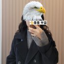 이튼튼구강악안면외과치과의원 | 이튼튼구강악안면외과 완전 매복 사랑니 발치 5분 컷