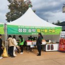 엿장수 민박 | [천안아산 축제 정보] 외암마을 짚풀문화재축제랑 은행나무길 다녀온 후기