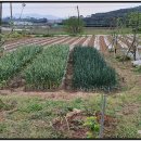 옥상파티 이미지