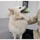 동물보육원 안산지부 이미지