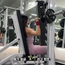 피티스미스 이미지