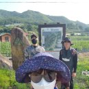 원주굽이길 16코스 황둔쌀찐빵길 | 원주굽이길16코스 황둔쌀찐빵길