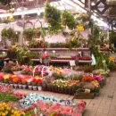 전천후농장 이미지