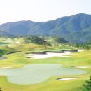 에이원국제(주)